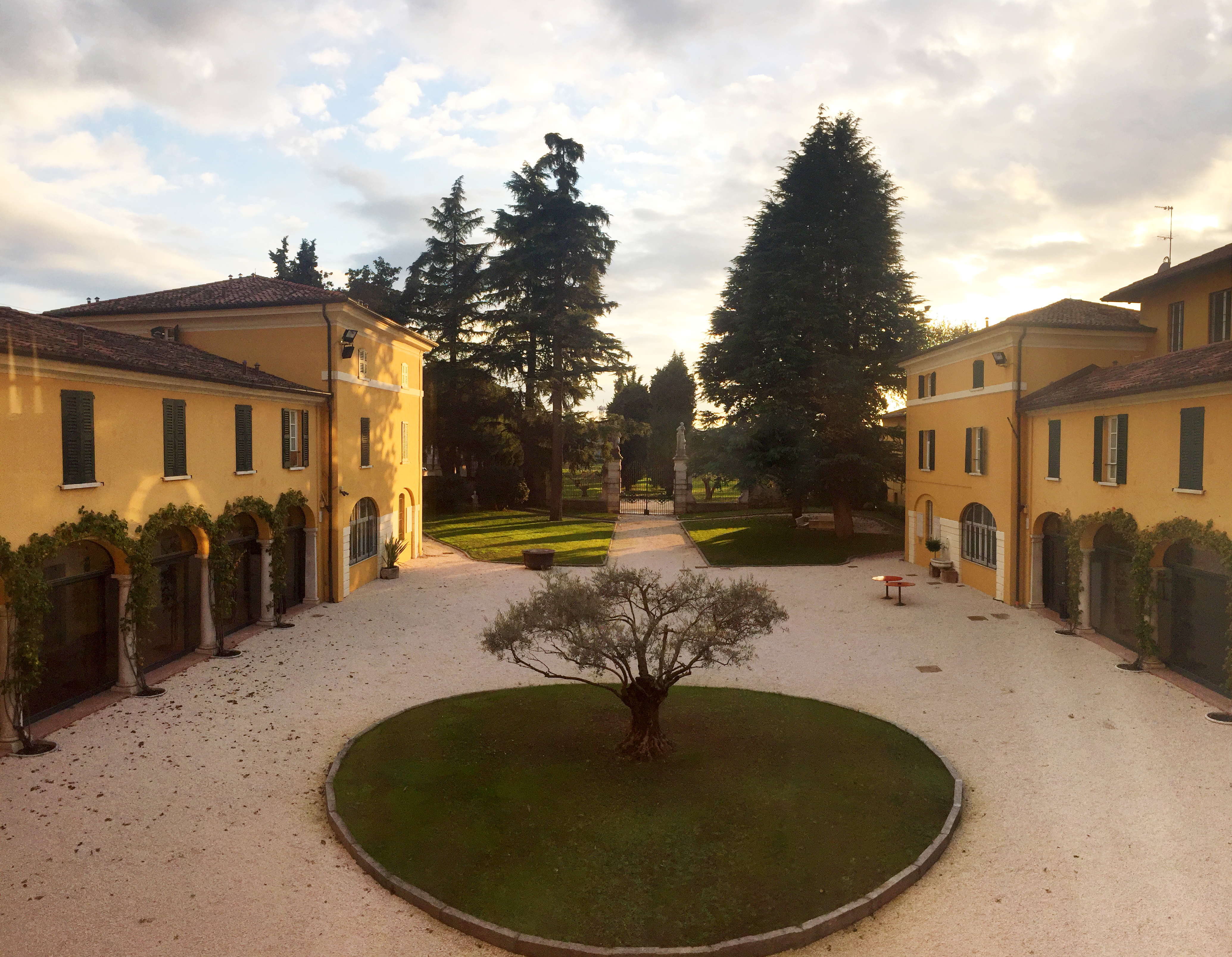 Volontariato e Cooperazione Internazionale: stato dell'arte e prospettive