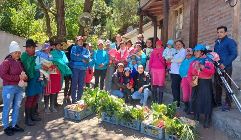 Canasta Solidaria 2.0