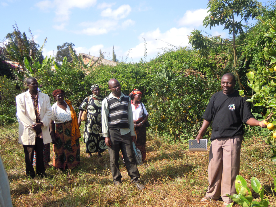 Smart demo farm Tanzania: Istituzione di un centro dimostrativo e di formazione di tecnologie smart per l’agricoltura sostenibile